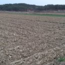 미르채공인중개사사무소 이미지