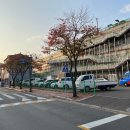 창복평양냉면 이미지