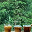 성가네칼국수 이미지