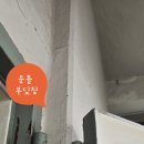 장미관문 이미지