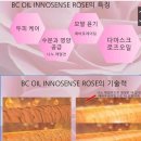 피어나 헤어 - 강남구 | 피어나 헤어