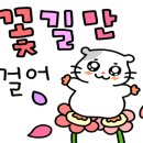 애플트리공방 - 유성구 은구비서로 13 | 애플트리공방