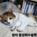 코아동물병원 이미지