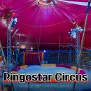카자흐스탄 알마티 이동식 천막 서커스 "Ringostar Circus" 관람 후기