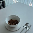 수입 그릇 아울렛 ㅣ 파주 모드니 프리미엄 본점 그릇 할인 구매 후기ㅣ 분당점 비교, 신혼부부 메인...