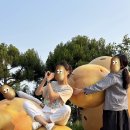 어스독 | 찐친들과 찐하게 춘천 즐기기 : 감자밭 | 토담숯불닭갈비 | 이와림(최고의 숙소) | 춘천옹심이 | 어스17