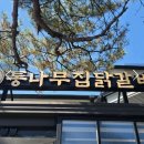 RE:🍂 11/8(일) 오전 8시30분 가을남이섬단풍&amp;춘천소양강댐닭갈비(통나무집 본점)소양강스카이워크(버스좌석 신청하세요) 이미지