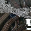 비타민 수산 세꼬시 이미지