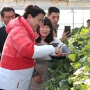 김홍규 농장 네이버블로그