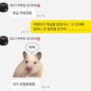 그루밍 나나 | 일상 2026년 1월 19일 ~ 1월 25일