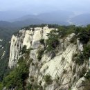 군자종로약국 이미지