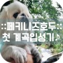 가평굿모닝하우스애견동반펜션