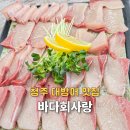 동해진미참가자미 | 오창 대방어 맛집, 신선한 제철 회가 가득한 청주 횟집 바다회사랑
