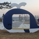 돌고래오토캠핑장2 이미지