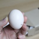 백봉목장 이미지