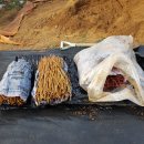 영은목장 이미지