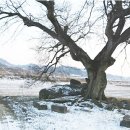 초봉리 고인돌 이미지