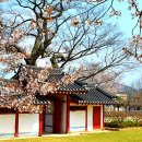 예산군대흥보건지소 이미지