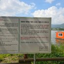 용담호수둘레길관리동 | 용인 나들이 강아지 산책코스 용담호수 둘레길 1시간 후기