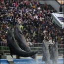 서울대공원노동조합 이미지