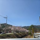 온천장 | [속초 온천 추천] 척산온천장 후기, 물 좋은 온천 찾는다면