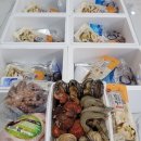 안주렙 | 마산 어시장 대게 포장 삼포수산 물회 제철해산물 도소매 전문 배달 택배 밀키트 판매