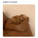 당동플러스마트 앞 사거리 | 8월 22일 이후 나머지 24년 8월 일상 (feat. 예산 - 전주여행)