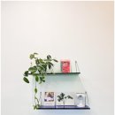 더아리웃집1 이미지