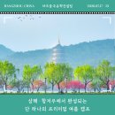 2026년 중국 캠프, 상해·항저우에서 완성되는 단 하나의 프리미엄 여름 캠프(78만 원)