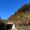 산수유자연휴양림 | 구례산수유 자연휴양림 예약방법/찾아가는길/이용후기 (양지꽃)