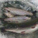 씽씽회센타 이미지