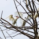 권율대로 이미지