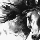 金두꺼비 이미지