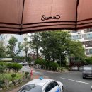 푸라닭대구봉덕점 | 교촌치킨 포장 할인 혜택 오리지널+레드 반반메뉴 추천