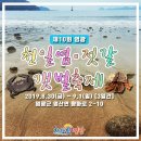 빛과갯벌-2 이미지