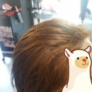 라봄헤어 이미지