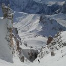 25시 동물병원 이미지