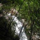 대성민박 이미지