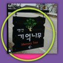 기억나무펜션