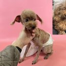 이재백안과의원 이미지