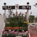 솔모랫길 이미지