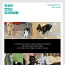 개님살롱 레이크사이드 이미지