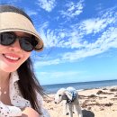 (주)바이저머니 | 유명한 썬바이저 모자 - 신저 썬캡 후기