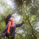 월곡4리 이미지