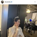 알리앙스 이미지