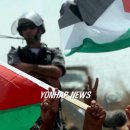 Flash Wall 이미지