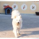 비금지킴이 이미지