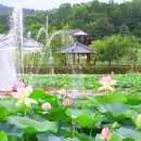 봉양로-1 이미지