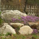 다산농원 이미지