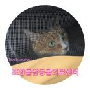 돌담동물의료센터 | 포항돌담동물의료센터